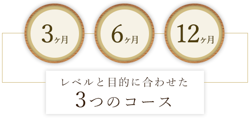 レベルに合わせた3つのコース