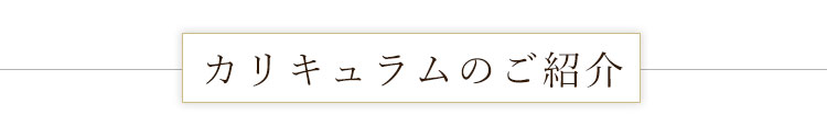 カリキュラムのご紹介